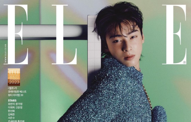 Astro, Cha, Eun, Woo, Elle 관련 아티스트 뉴스 이슈 정리 대표 이미지